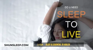 Sleep: Essential for Life or a Waste of Time?