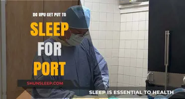 Understanding Port Surgery: Anesthesia and Recovery for Pets Explained