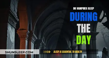 Vampire Sleep Patterns: Daytime Dozing or Nocturnal Awakening?