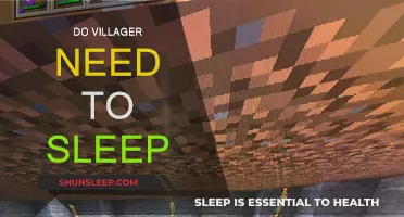 Do Villagers Need Sleep? Exploring Their Rest Patterns