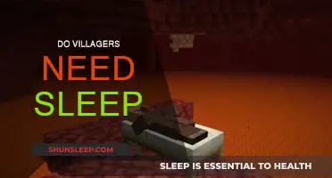Villagers' Sleep: A Need or Luxury?