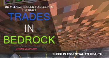 Do Villagers Need Sleep for Trade Refresh?