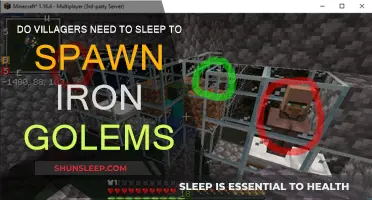 Sleep for Golems: Do Villagers Need Their Rest?