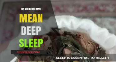 Vivid Dreams: A Sign of Deep Sleep?