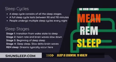 Vivid Dreams: Are They a Sign of REM Sleep?