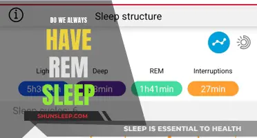 The Intriguing World of REM Sleep: Ever-Present or Not?