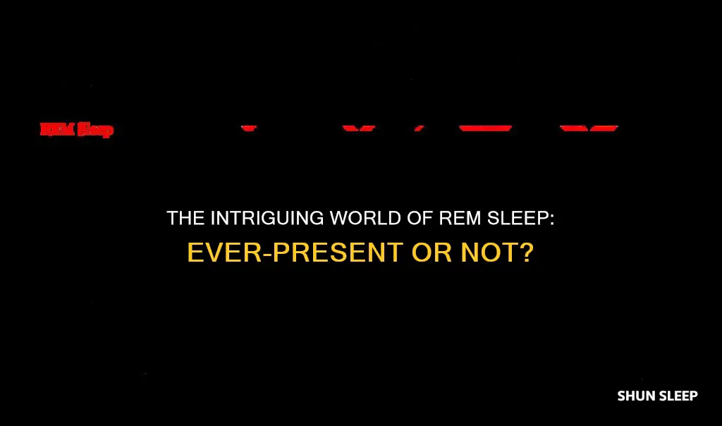 do we always have rem sleep