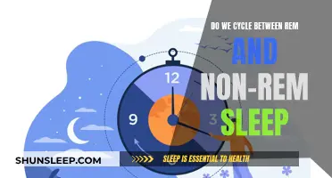 The Sleep Cycle: REM and Non-REM Phases Explained