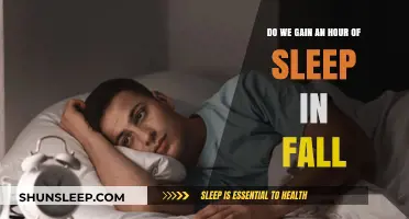 Fall Back: The Annual Ritual of Gaining an Extra Hour of Sleep