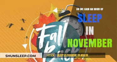 Fall Back or Spring Forward? The November Sleep Conundrum Explained