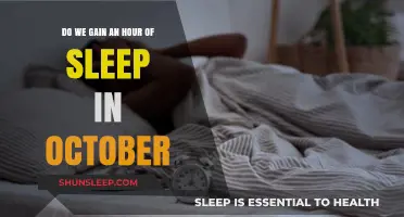 Fall Back: The Annual October Sleep Bonus Explained