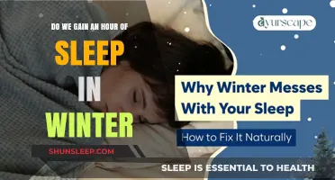 Winter's Gift: An Extra Hour of Sleep?