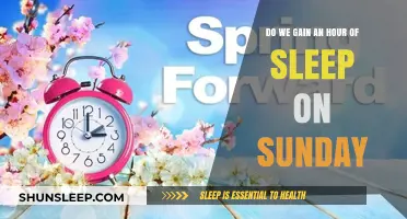 Spring Forward, Sleep Later: The Sunday Hour We Gain