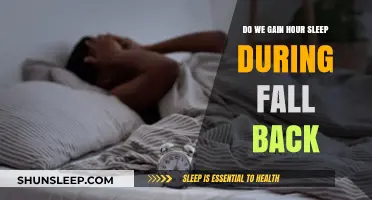 Gaining an Extra Hour of Sleep During Fall Back: Myths and Facts