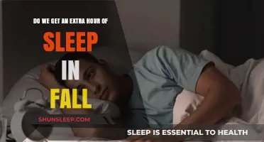 Fall Back: The Annual Ritual of Gaining an Extra Hour of Sleep