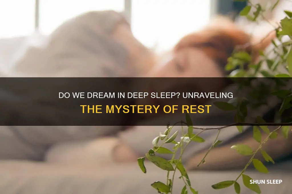 do we get dreams in deep sleep