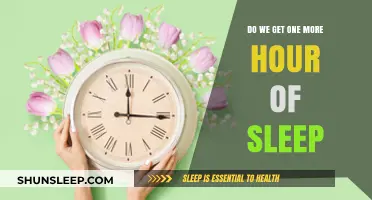 Spring Forward, Fall Back: The Eternal Debate on Daylight Saving Time