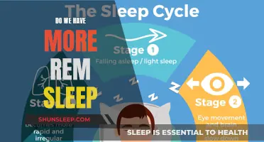 Why We Experience More REM Sleep