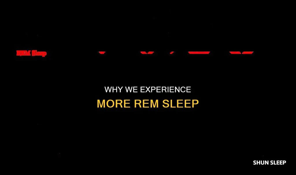 do we have more rem sleep