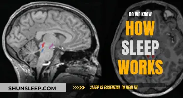 Sleep: Unraveling the Mystery of Our Body's Clockwork