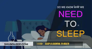 The Science Behind Sleep: Why Do We Need It?