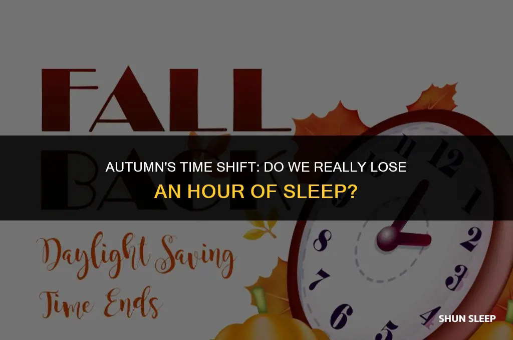 do we loose and hour of sleep in the fall