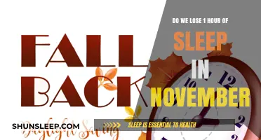Autumn's Time Shift: Do We Really Lose an Hour of Sleep in November?