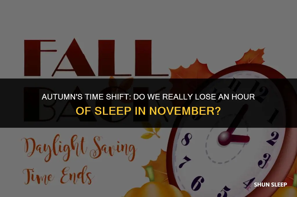 do we lose 1 hour of sleep in november