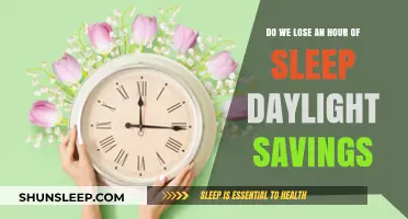 Springing Forward: The Annual Debate on Daylight Saving Time