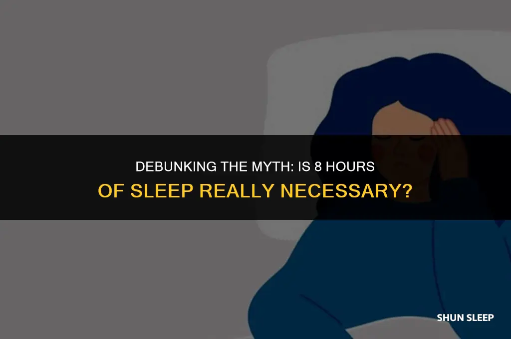 do we need 8 hours of sleep essay