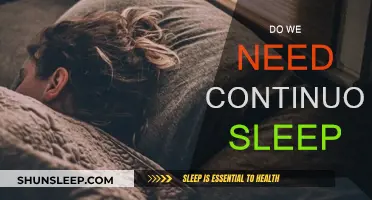 Sleep: The Science of Continuous Rest and Recovery