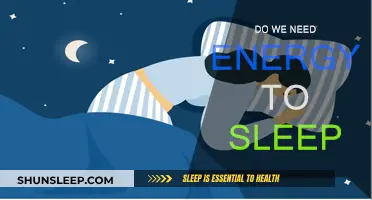 Energy Expenditure While Sleeping: How Much is Needed?
