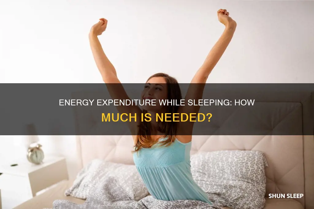 do we need energy to sleep
