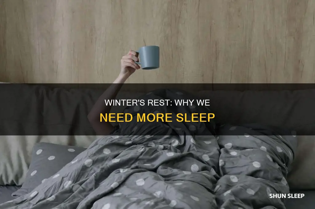do we need more sleep during winter
