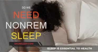 The Importance of Non-REM Sleep: Essential for Brain and Body