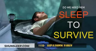 The Importance of REM Sleep for Human Survival
