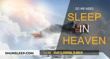 Sleep in Heaven: Is It Necessary?