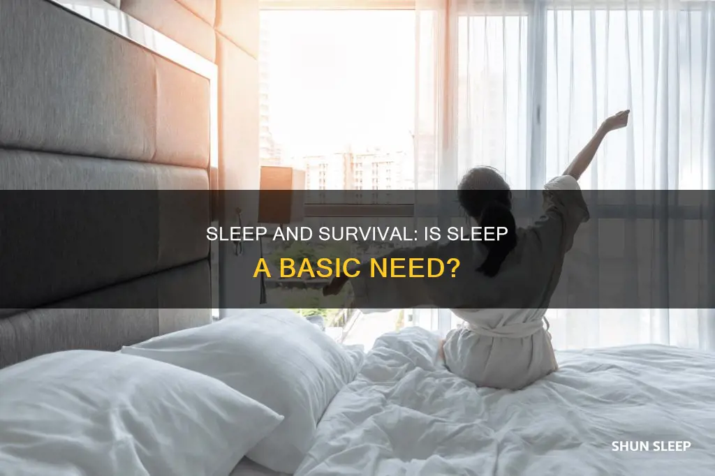 do we need sleep to survive