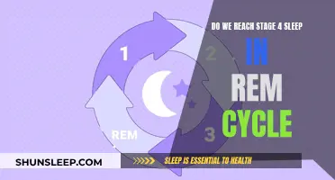 REM Sleep: Stage 4 Sleep Explained