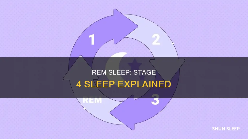 do we reach stage 4 sleep in rem cycle