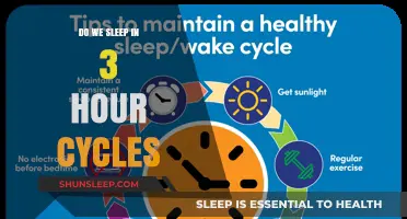 Unraveling the Mystery: Do We Really Sleep in 3-Hour Cycles?