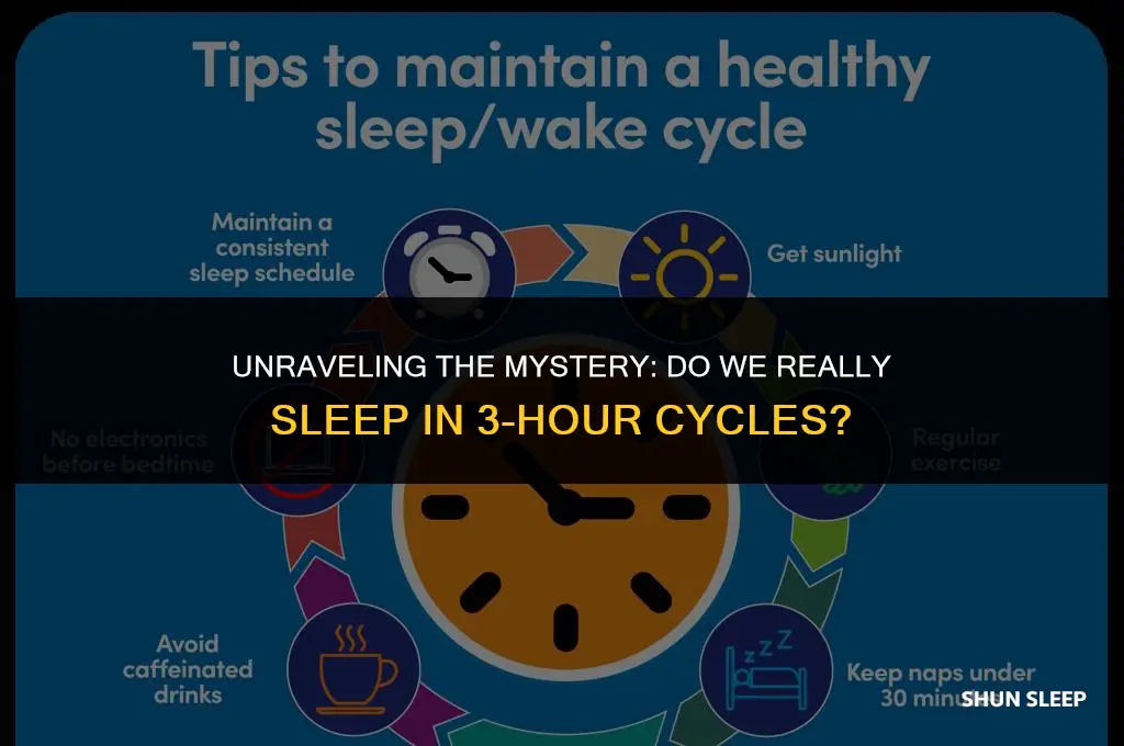 do we sleep in 3 hour cycles
