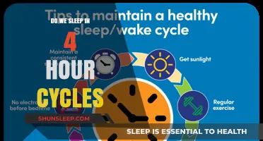 Unraveling the Mystery: Do We Really Sleep in 4-Hour Cycles?