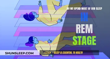 Exploring the Intricacies of REM Sleep Duration