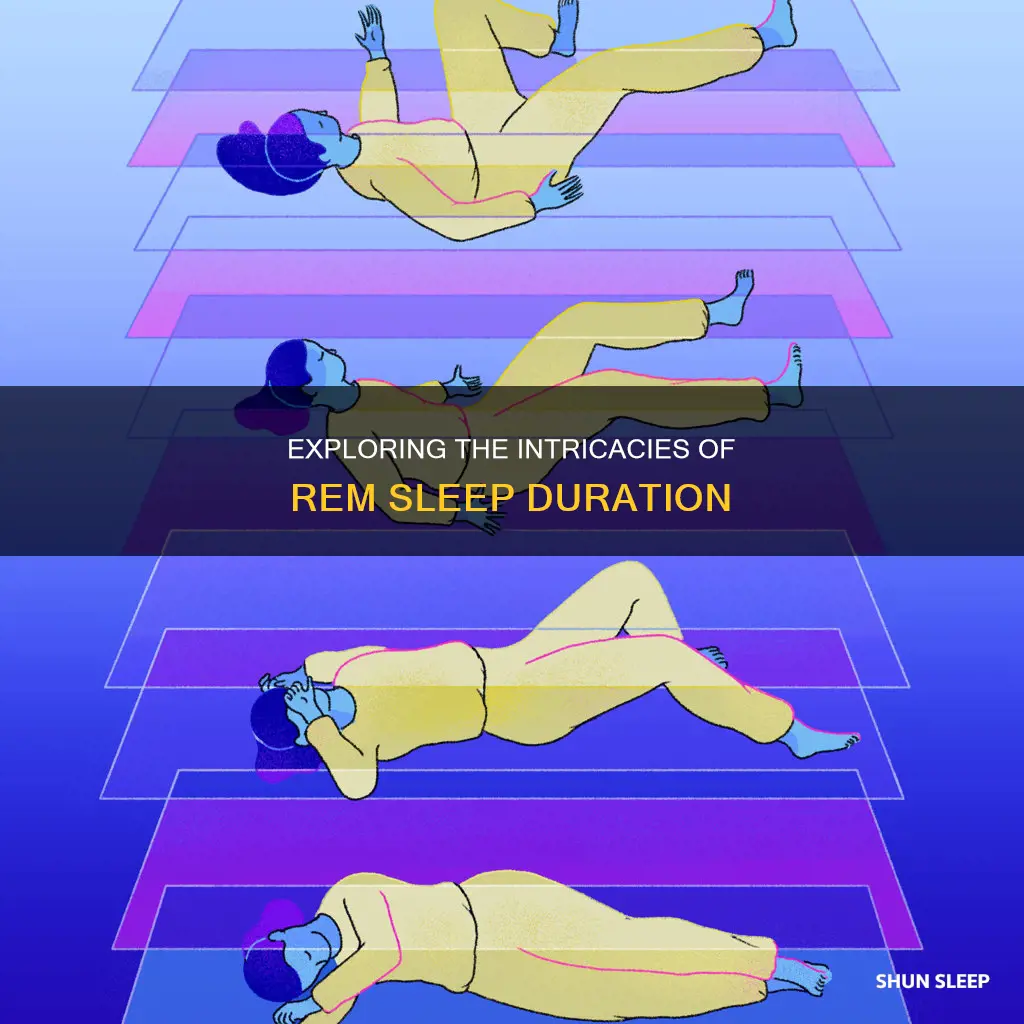 do we spend most of our sleep in rem stage