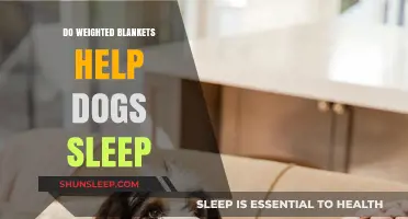 Weighted Blankets for Dogs: Enhancing Sleep Quality and Comfort