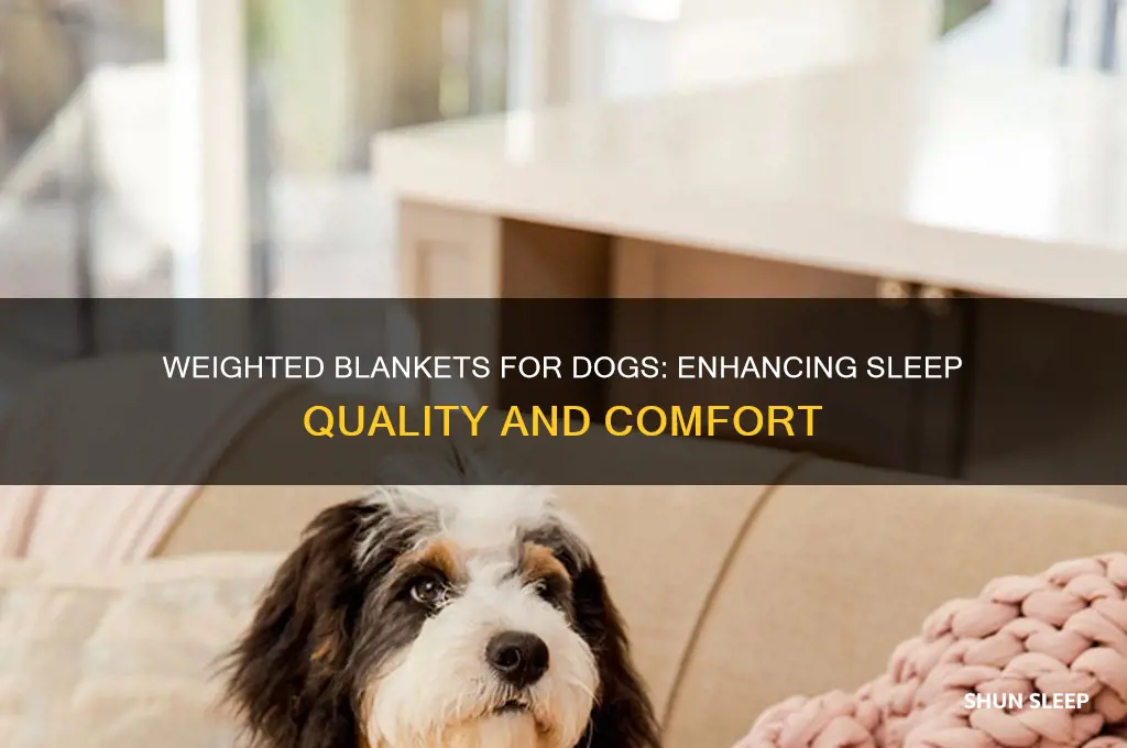 do weighted blankets help dogs sleep