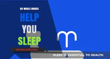 Whale Noises for Sleep: Exploring the Calming Ocean Sounds