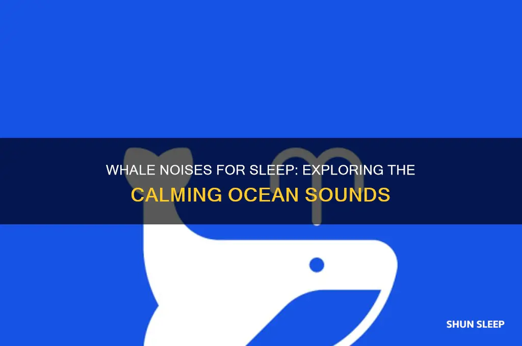 do whale noises help you sleep