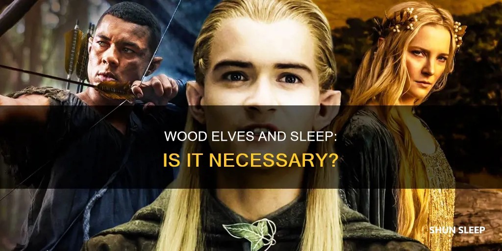 do wood elves need sleep